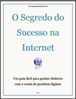 O SEGREDO DO SUCESSO NA INTERNET