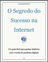 O SEGREDO DO SUCESSO NA INTERNET